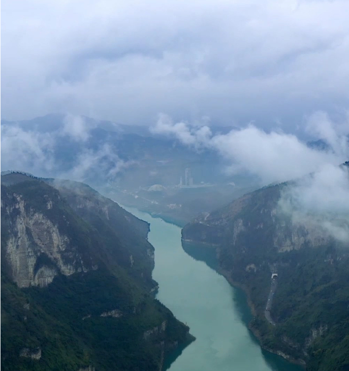 �ƶ�����3118(�й�)�ٷ���վ