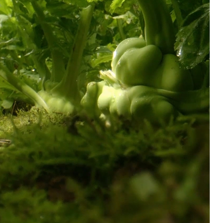 �ƶ�����3118(�й�)�ٷ���վ