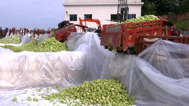 �ƶ�����3118(�й�)�ٷ���վ