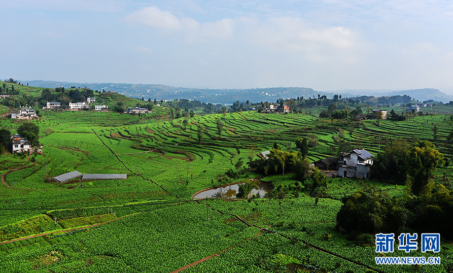 1734311445434 ÔÆ¶¥¼¯ÍÅ3118(Öйú)¹Ù·½ÍøÕ¾