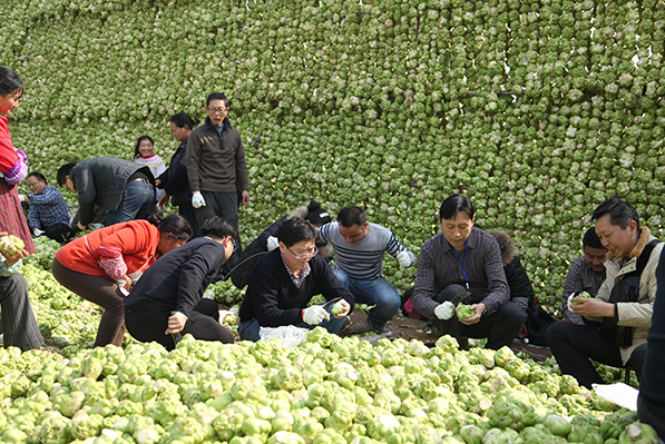 �ƶ�����3118(�й�)�ٷ���վ