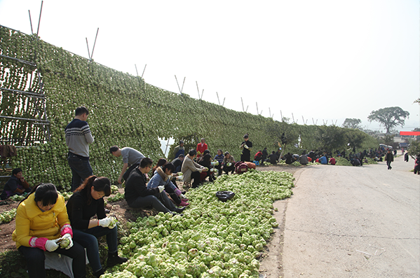 �ƶ�����3118(�й�)�ٷ���վ