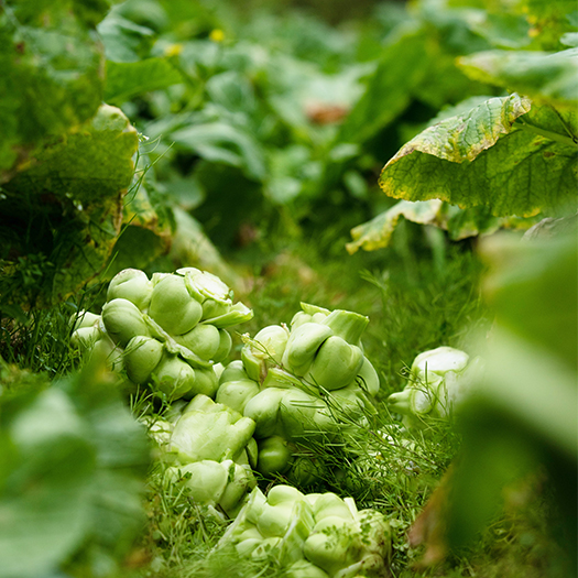 �ƶ�����3118(�й�)�ٷ���վ