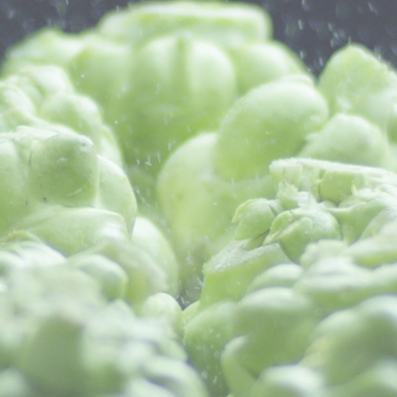 �ƶ�����3118(�й�)�ٷ���վ