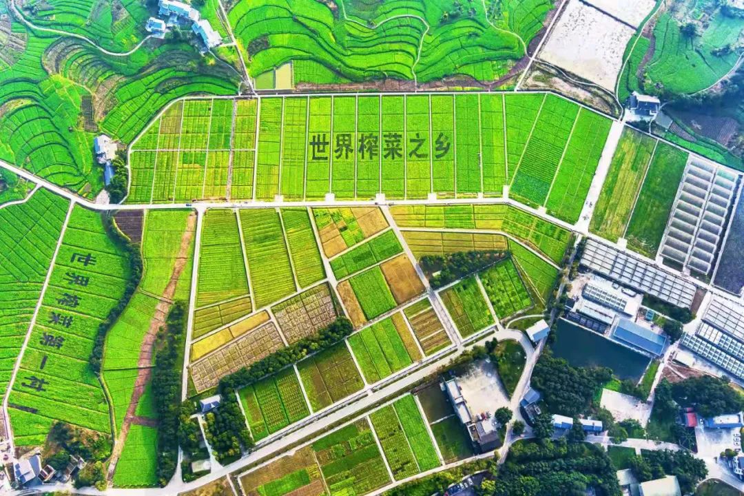 1 ÔÆ¶¥¼¯ÍÅ3118(Öйú)¹Ù·½ÍøÕ¾