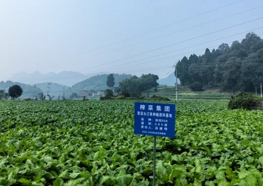 �ƶ�����3118(�й�)�ٷ���վ